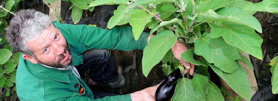 Bioland Hof Hubertus Holtschulte | Hamm | Soest | Welver